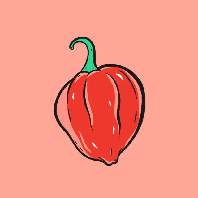 Eine Illustration einer roten Habanero.